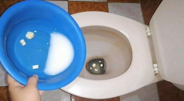 Vierte sal en el inodoro durante 3 horas: Este es el truco poco conocido pero útil