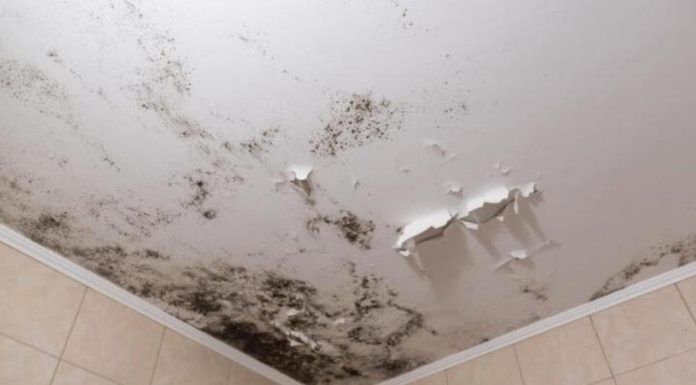 Olvídate de la humedad en techo y paredes de tu casa: Trucos infalibles contra lluvias